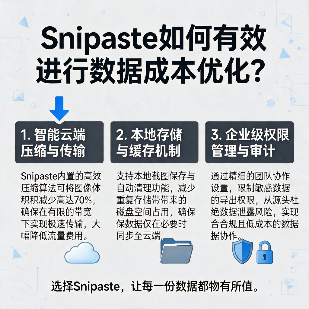 Snipaste如何有效进行数据成本优化？