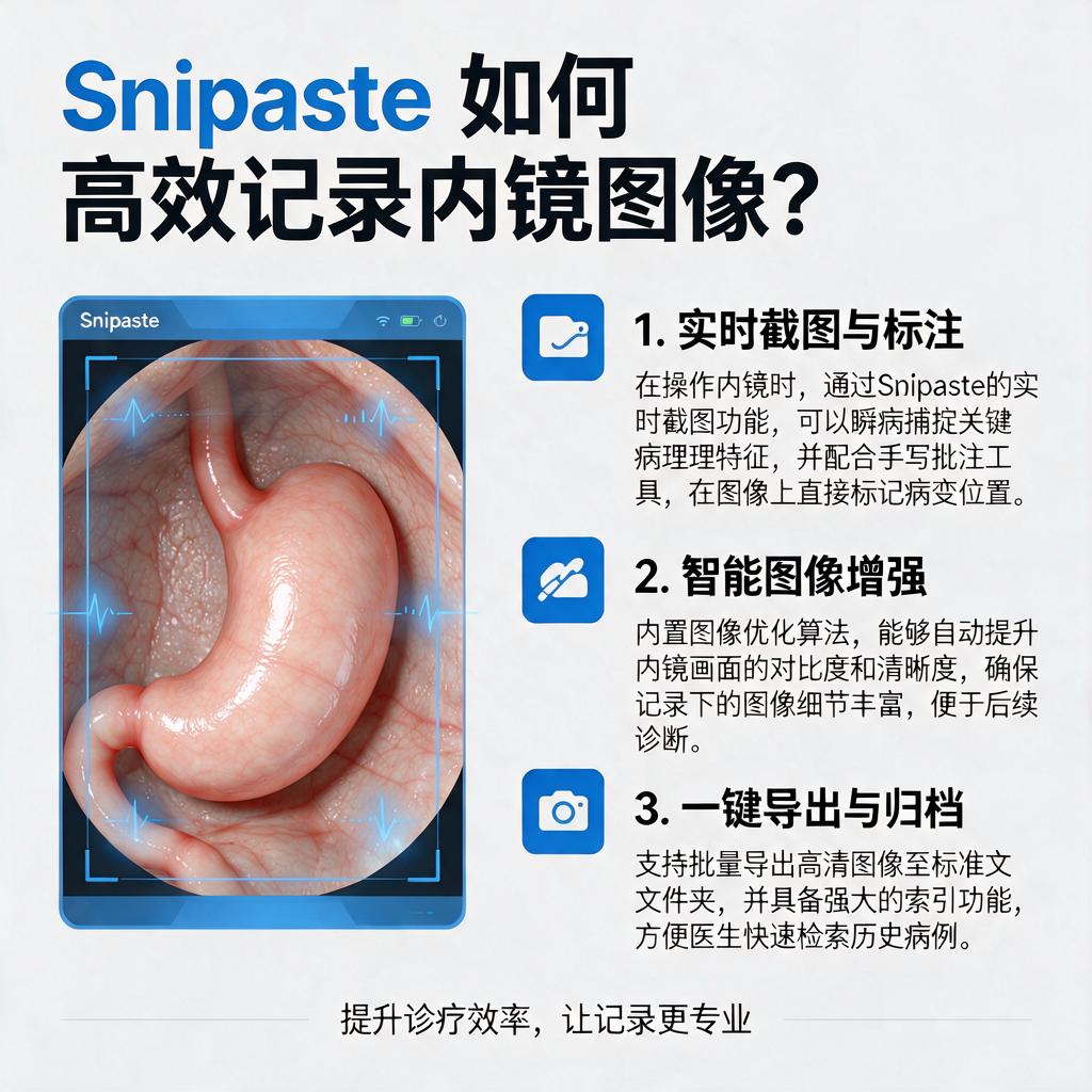 Snipaste如何高效记录内镜图像？