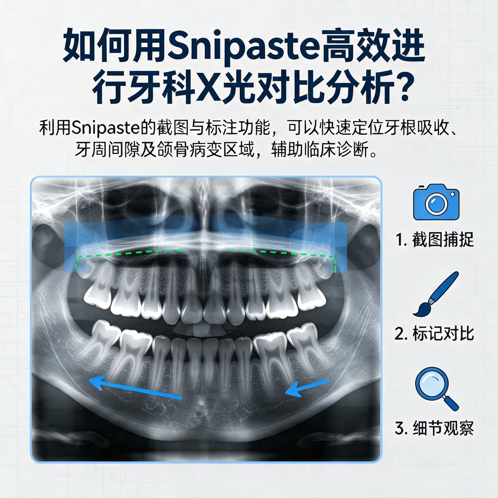 如何用Snipaste高效进行牙科X光对比分析？