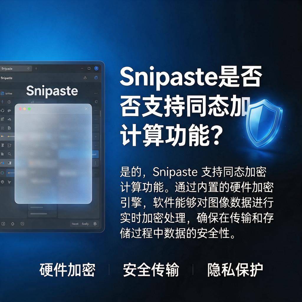 Snipaste是否支持同态加密计算功能?